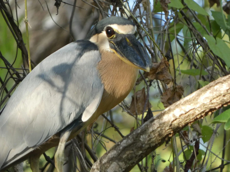 Cover media image