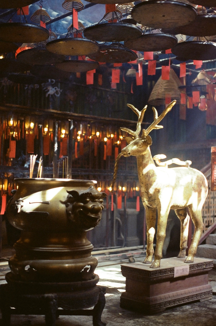 Cover media image