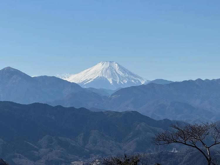 Cover media image