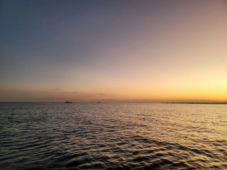 Cover media image