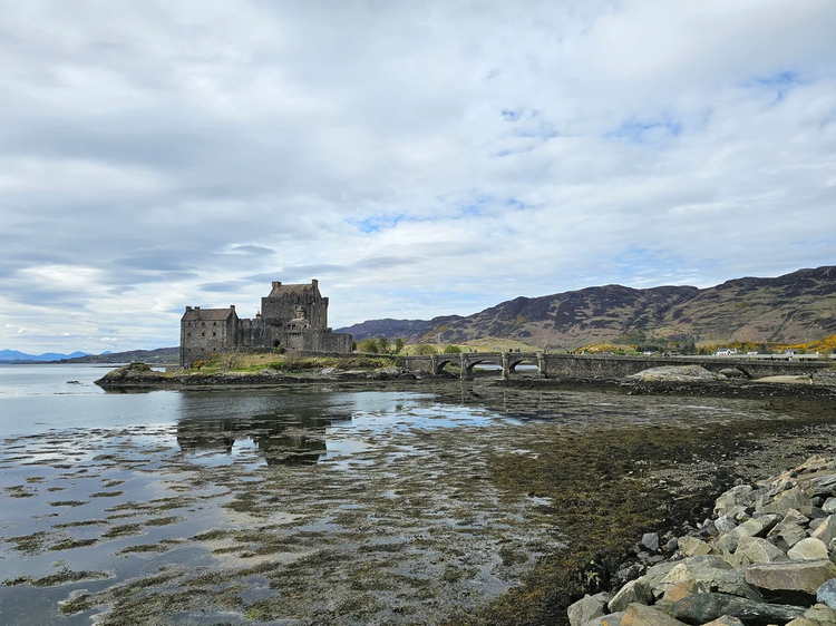 Cover media image