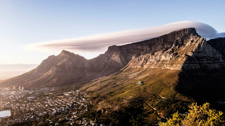 Iconic Cape Town: Half-Day Private Driving Tour with Panoramic Stops