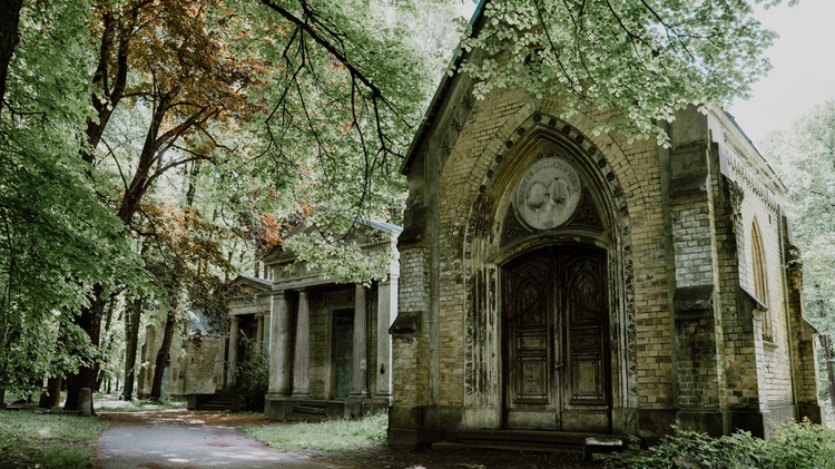 Cover media image