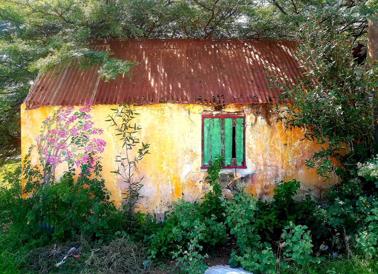 Cover media image