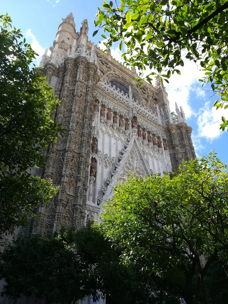 Cover media image