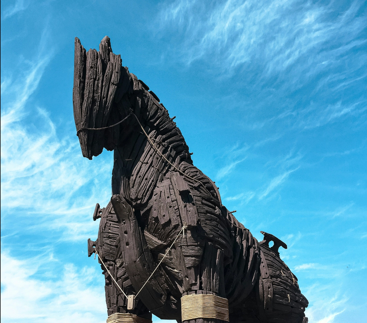 Cover media image