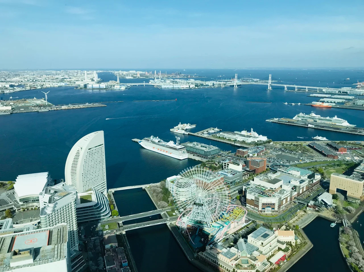 Cover media image