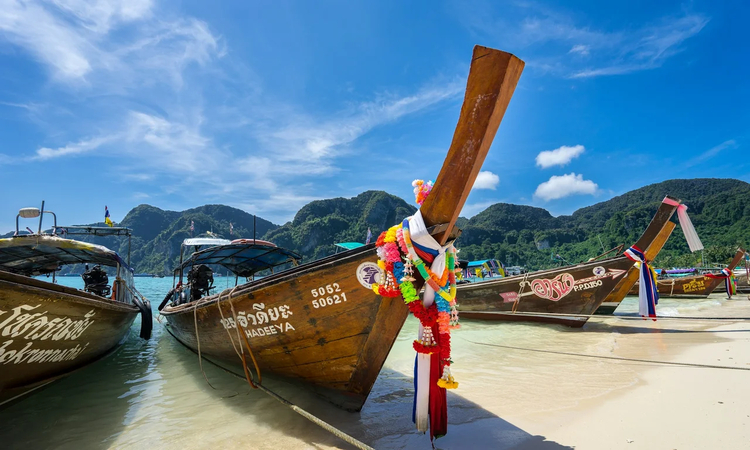 Cover media image