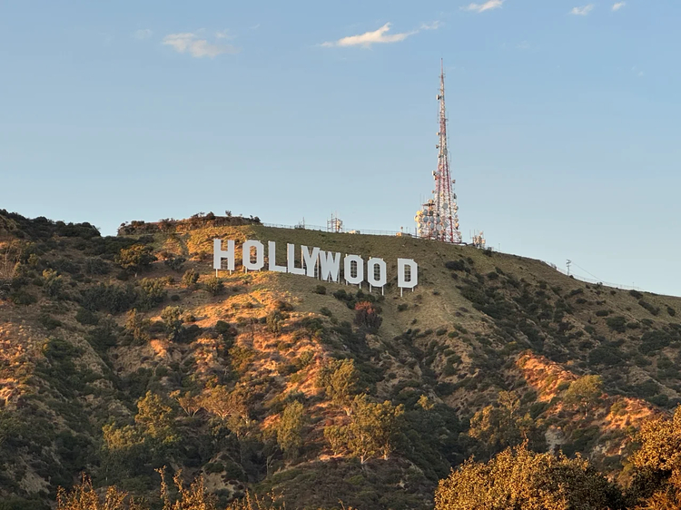 Cover media image