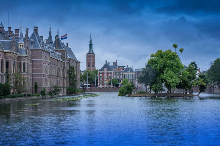 Cover media image