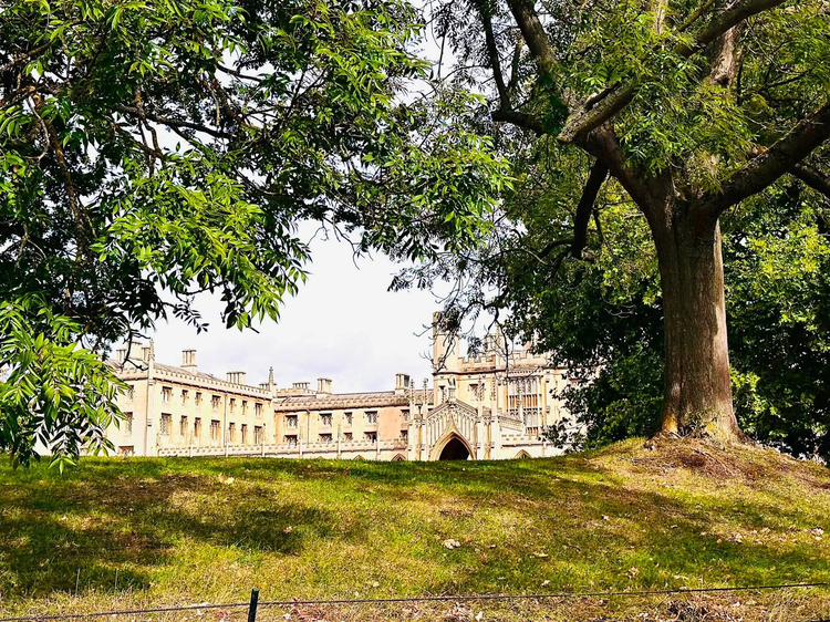 Cover media image