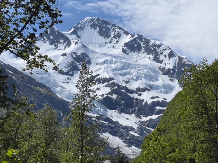Cover media image