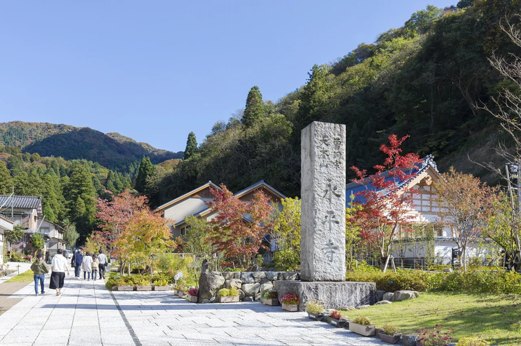 Cover media image