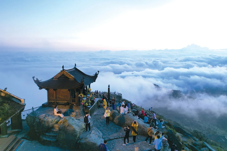 Cover media image