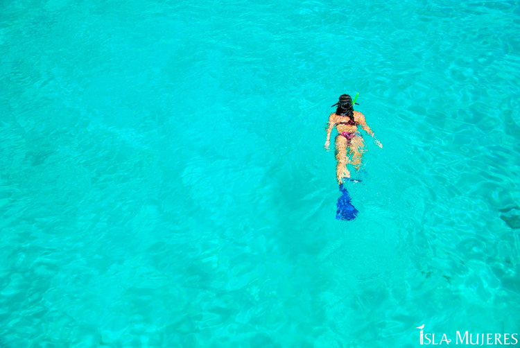 Cover media image