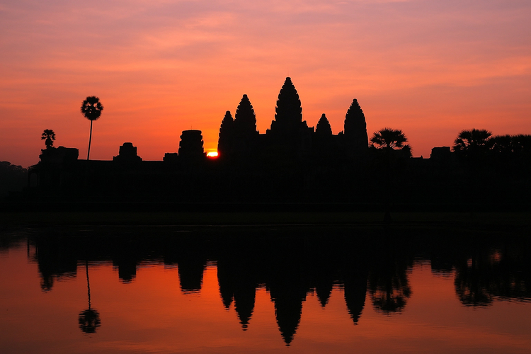 Cover media image