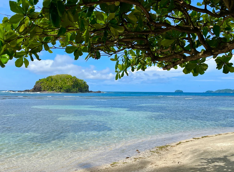 Cover media image