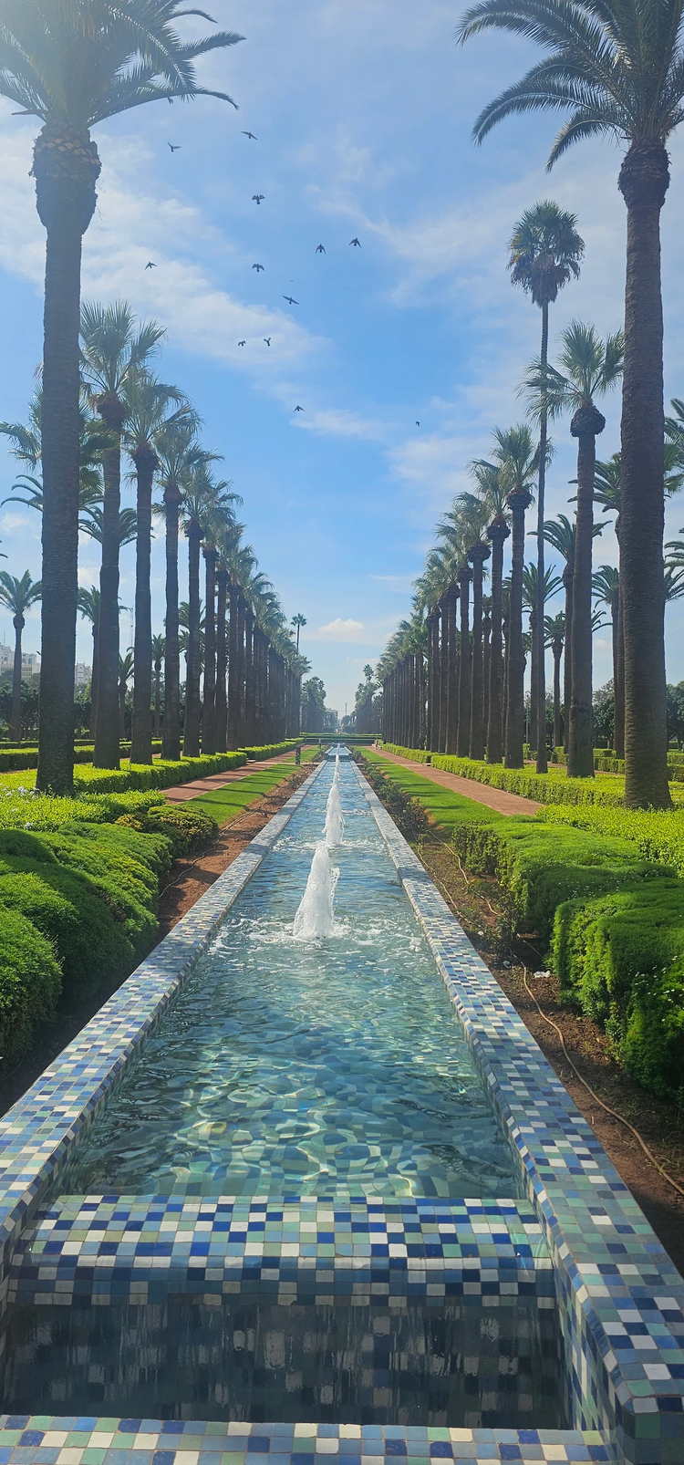 Cover media image