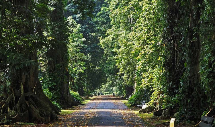 Cover media image