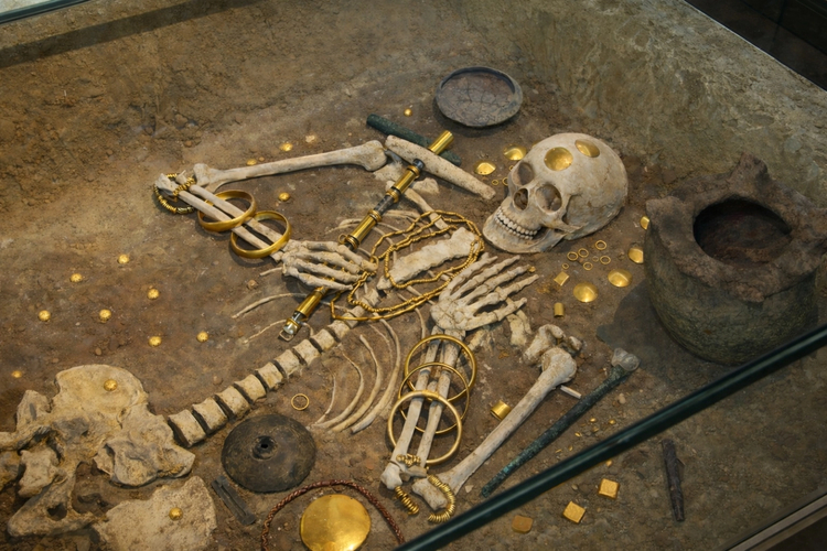 Cover media image