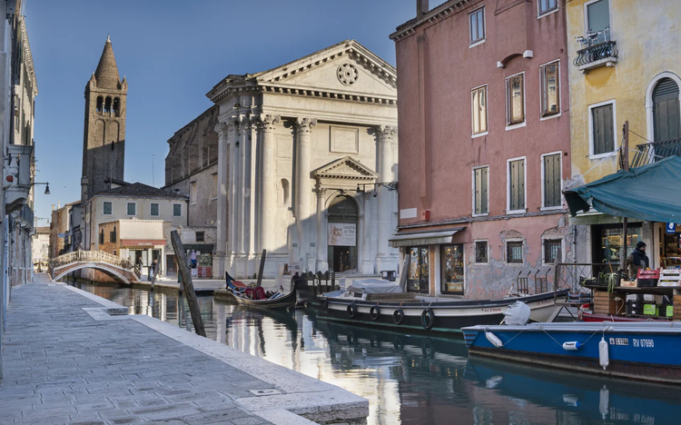 Cover media image