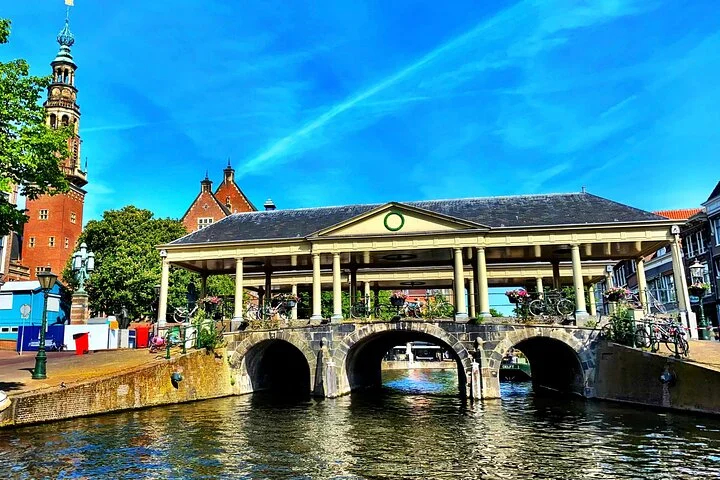 Cover media image