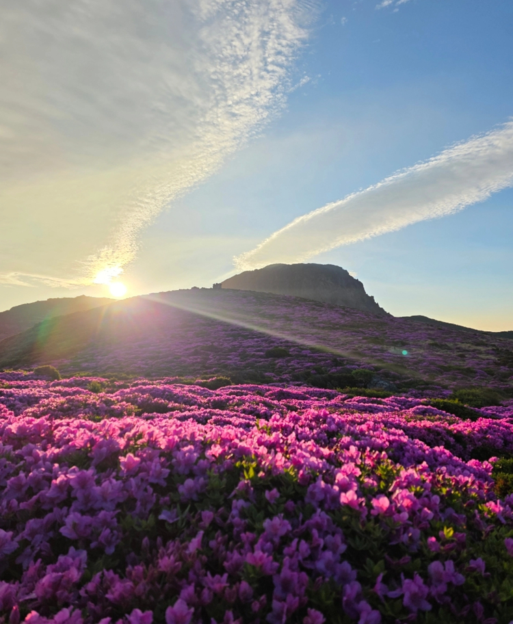 Cover media image