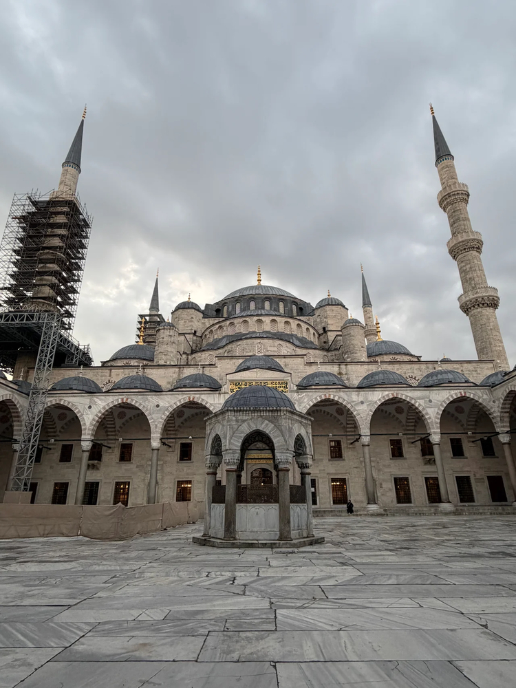 Cover media image