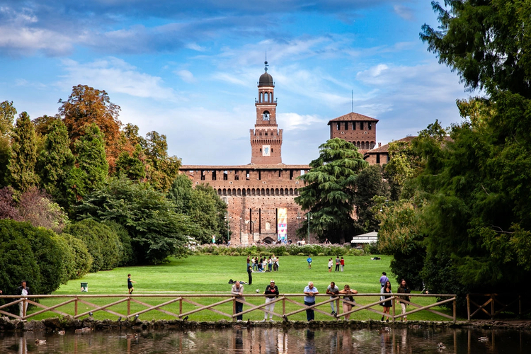 Cover media image