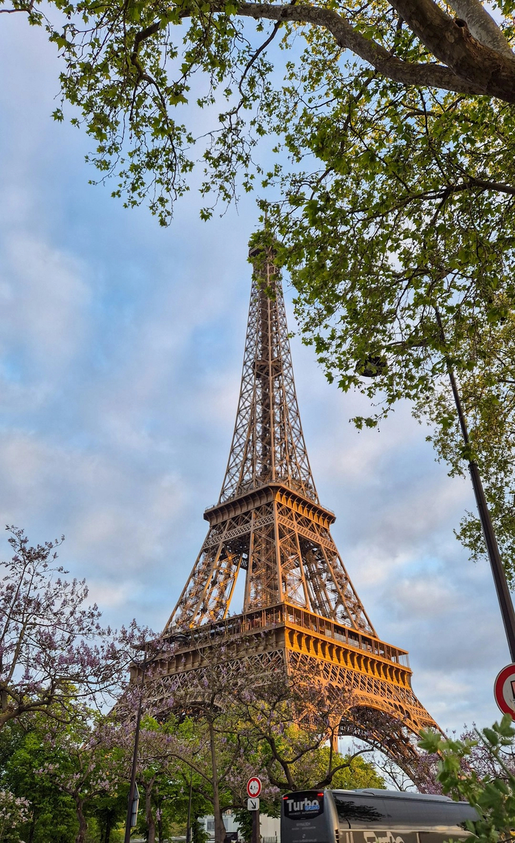 Essential Paris: Half-Day Walking Tour of the Major Highlights