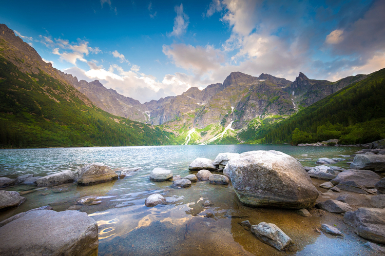 Cover media image