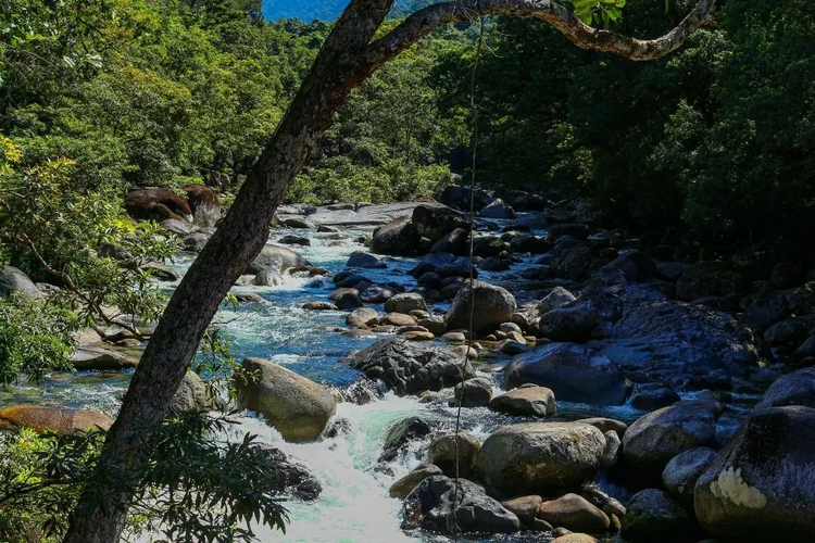 Cover media image
