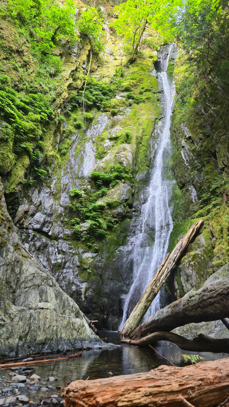 Cover media image
