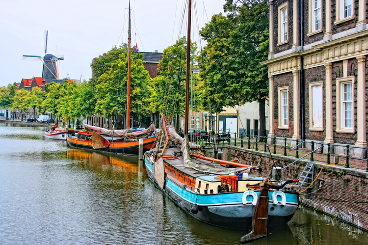 Cover media image