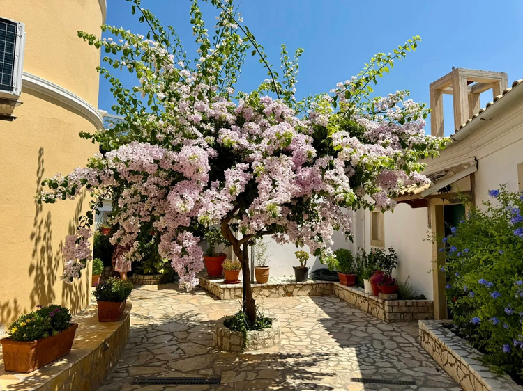 Cover media image