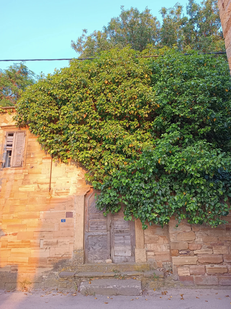 Cover media image