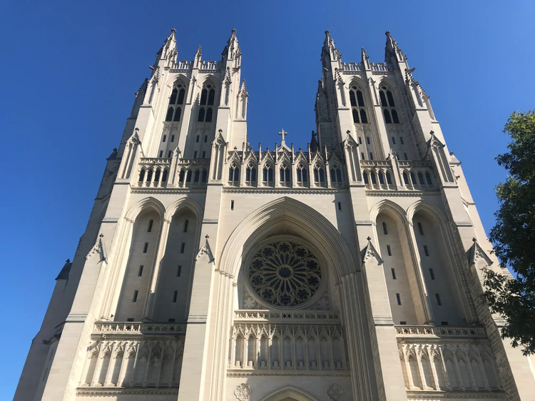 Cover media image
