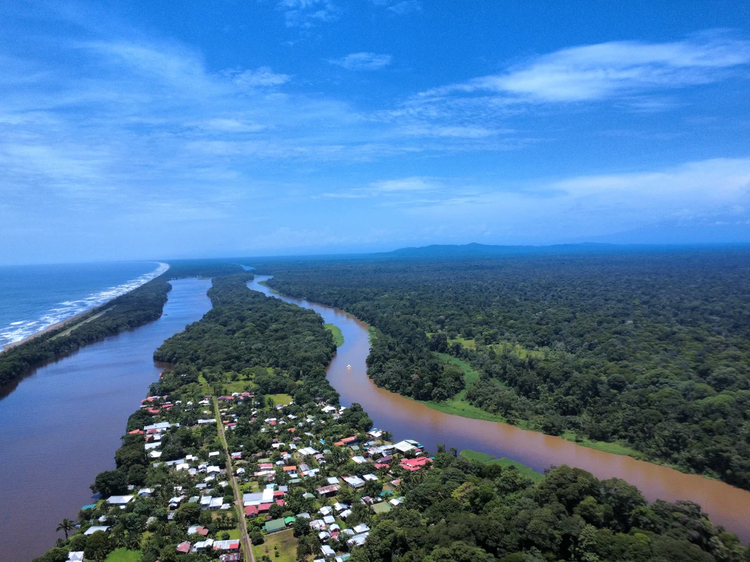 Cover media image