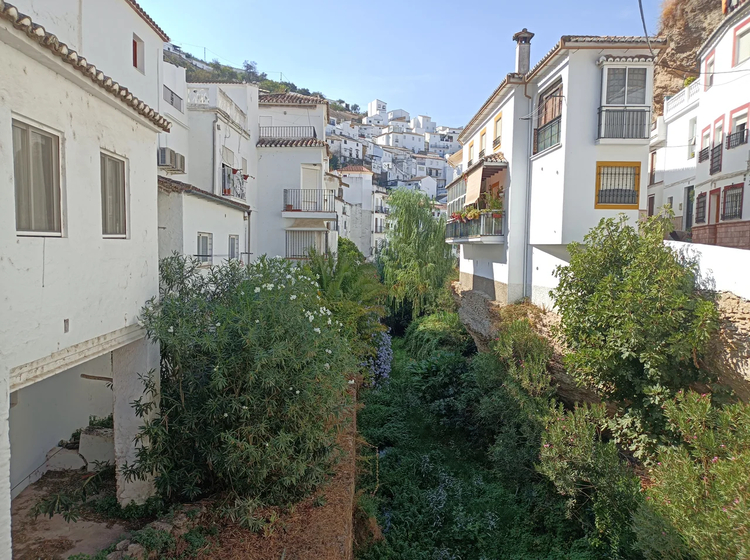 Cover media image
