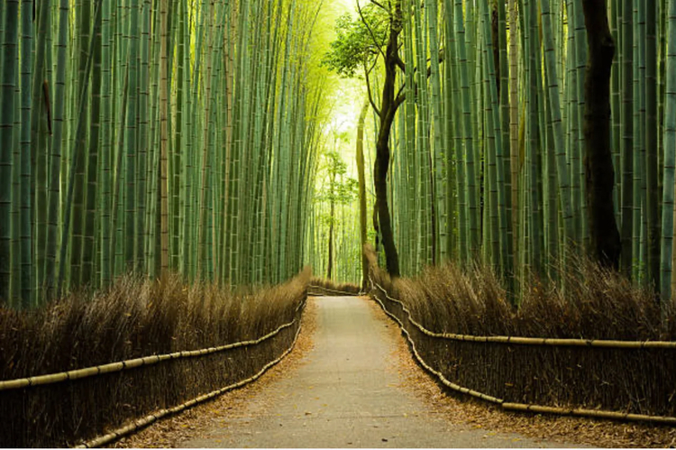 Cover media image