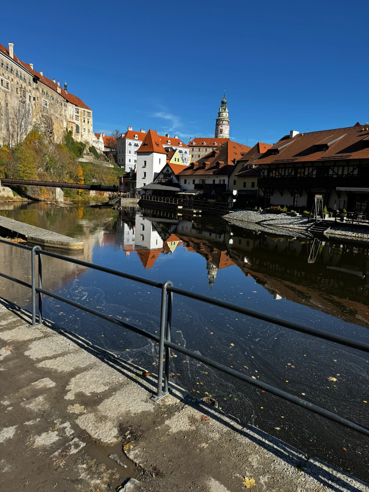 Cover media image