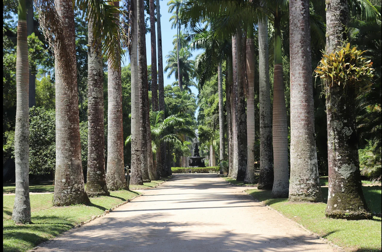 Cover media image