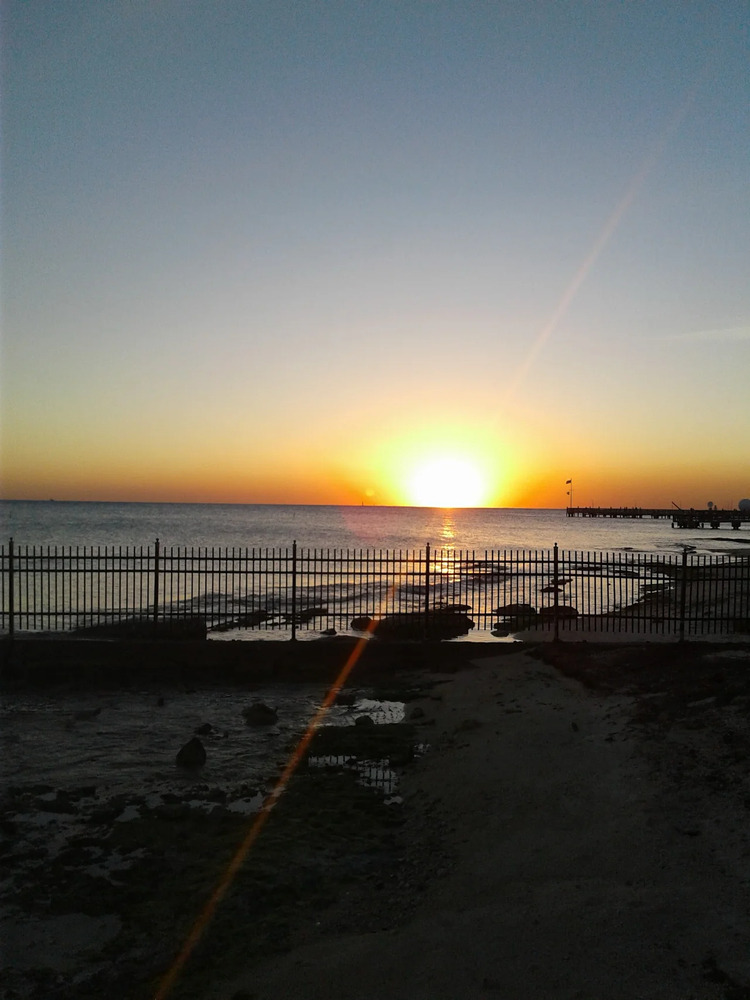 Cover media image