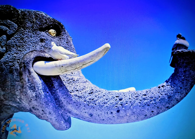 Cover media image