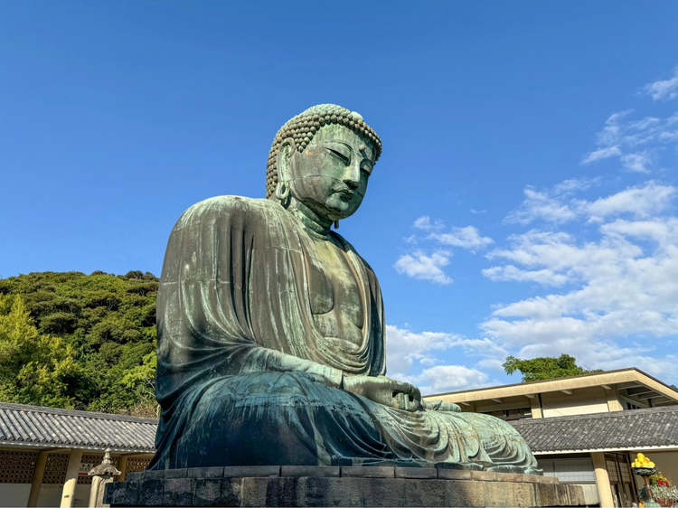 Cover media image
