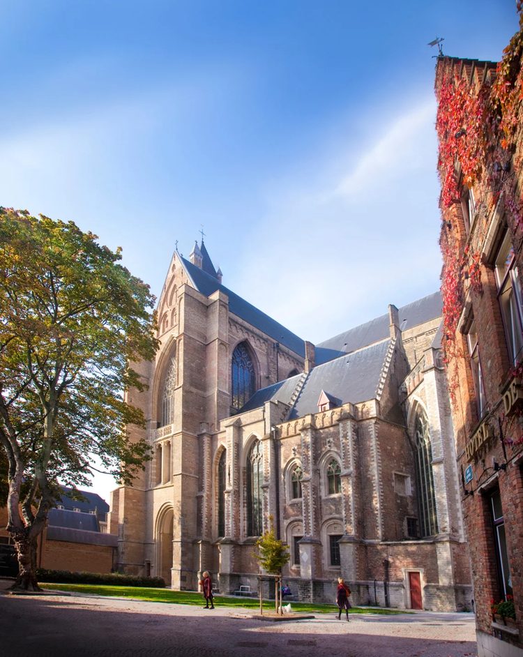 Cover media image