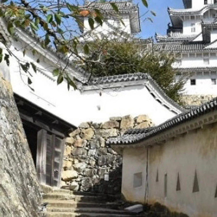 Cover media image