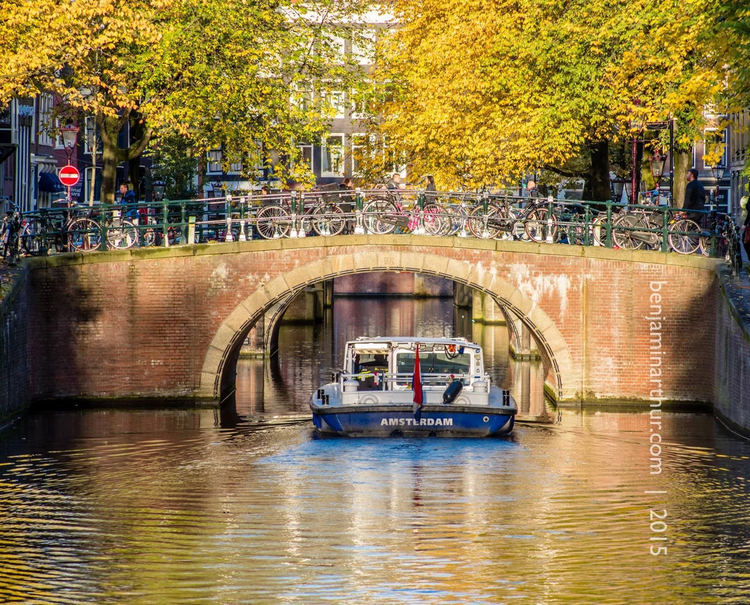 Cover media image