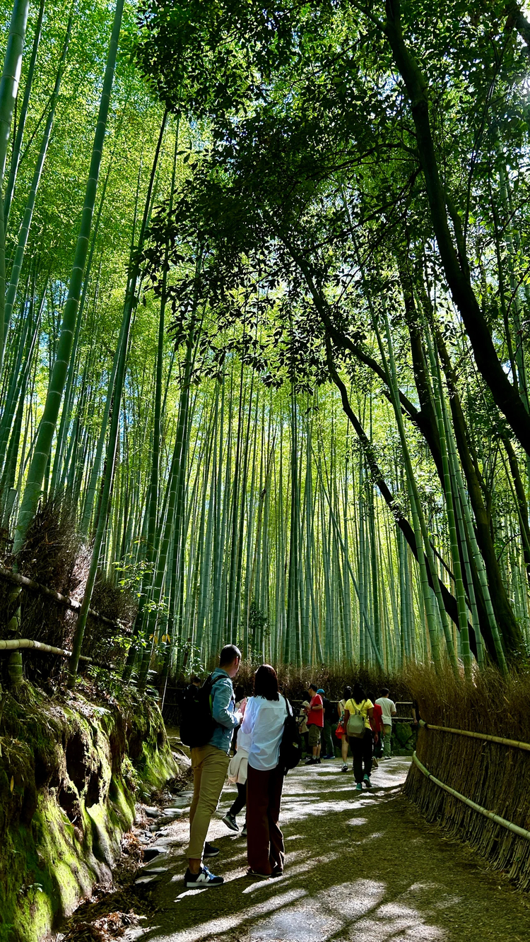 Cover media image