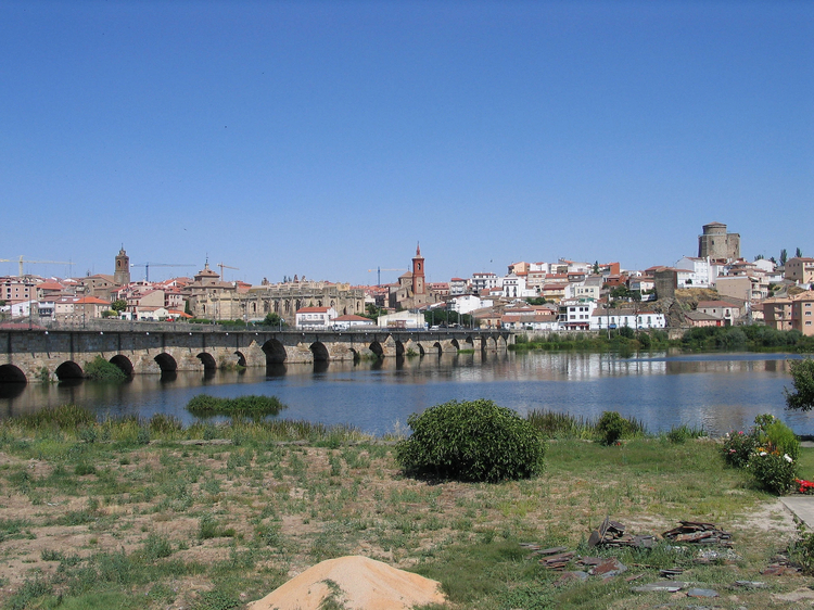 Cover media image